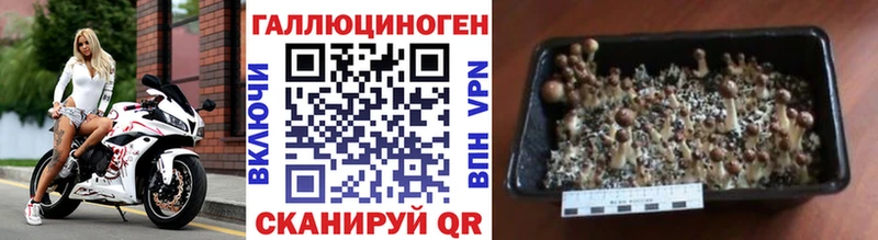 Псилоцибиновые грибы Magic Shrooms МЕГА рабочий сайт Верхотурье
